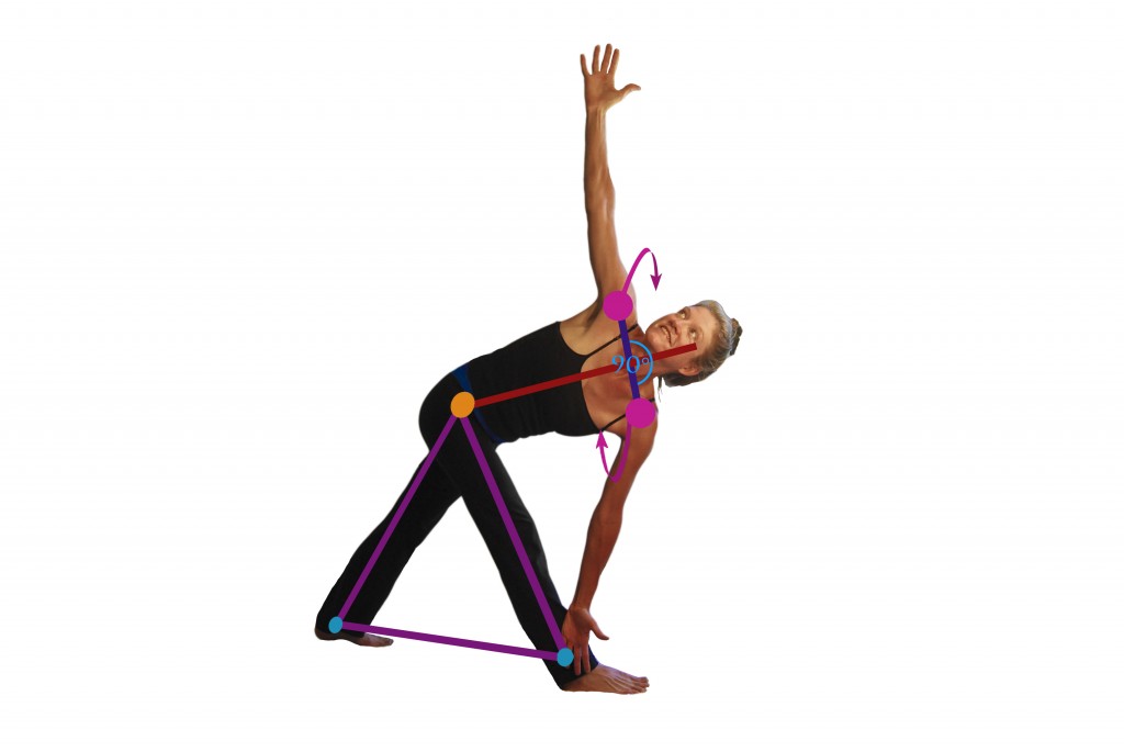 Parivritta Trikonasana Variation