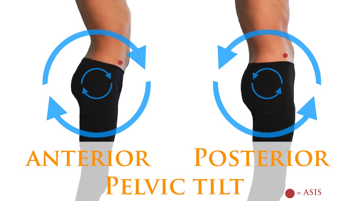 Rounded shoulders are the anterior pelvic tilt of the upper body. Here's  how similar they are 🧠 ——— #posture #posturecorrectio