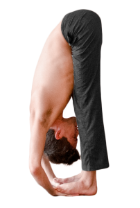 Padahastasana