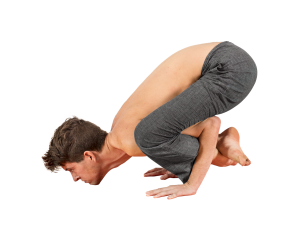 Bhujapidasana